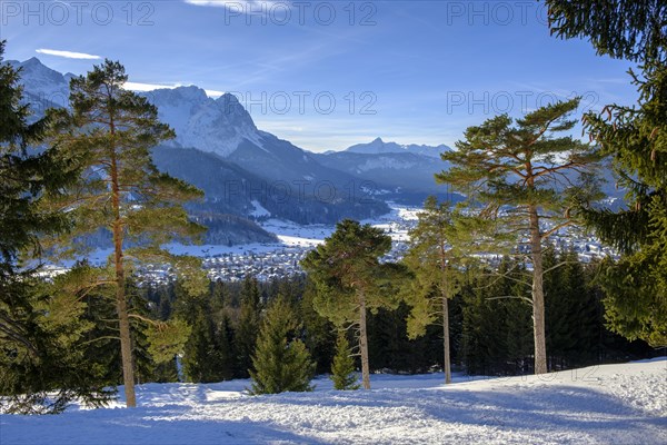 Winter landscape