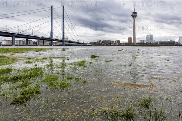 Rising water level on the Rhine in Duesseldorf