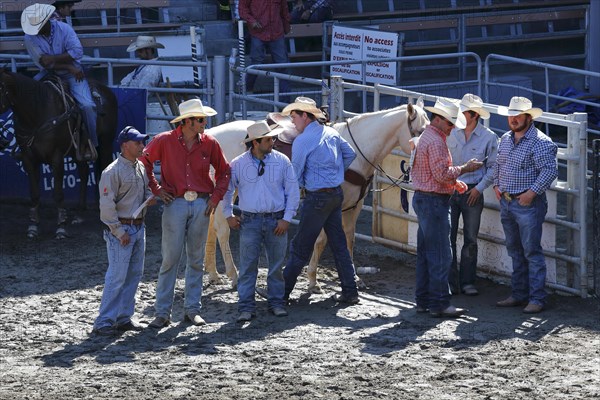 Rodeo competition