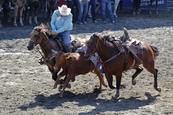 Rodeo competition