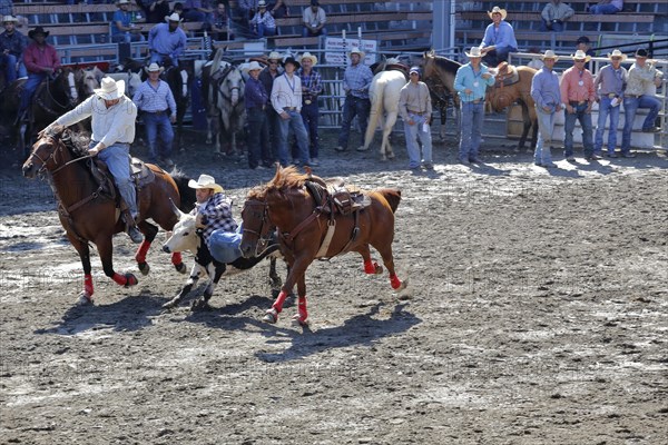 Rodeo competition