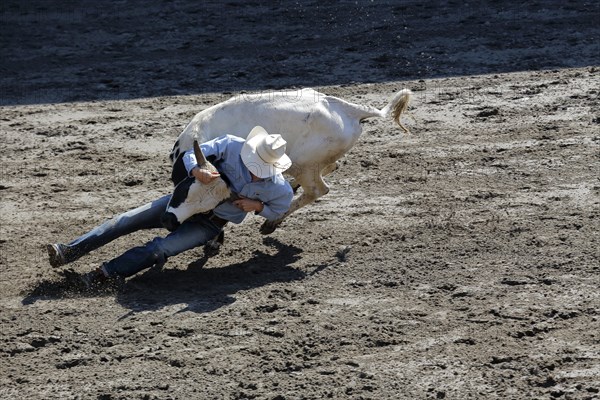 Rodeo competition