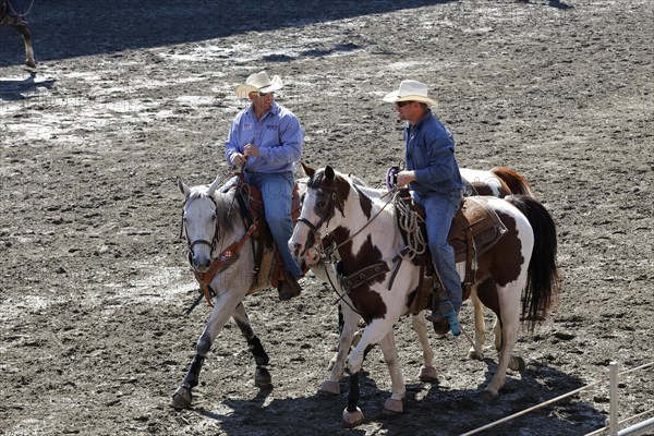 Rodeo competition