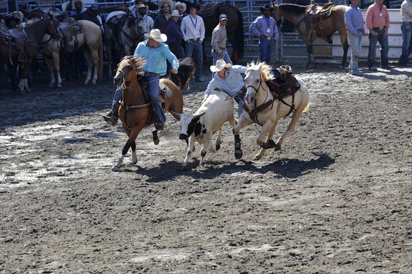 Rodeo competition