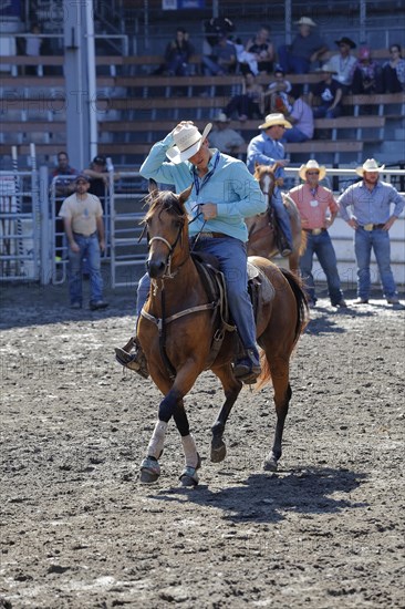 Rodeo competition