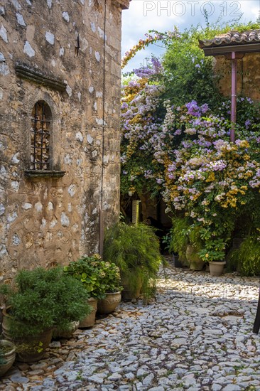Inner courtyard with flowers