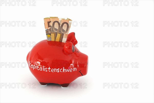 Piggy bank with the inscription Capitalist Pig and 50 euro banknotes
