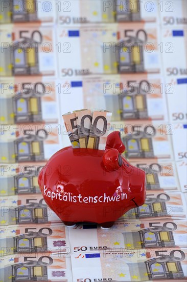 Piggy bank with the inscription Capitalist Pig and 50 euro banknotes