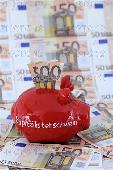 Piggy bank with the inscription Capitalist Pig and 50 euro banknotes