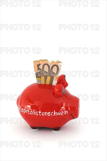 Piggy bank with the inscription Capitalist Pig and 50 euro banknotes