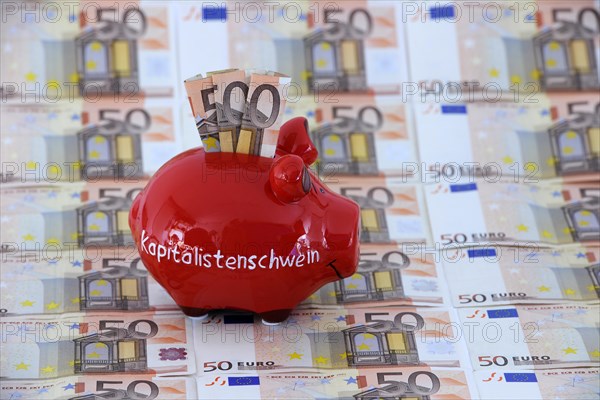 Piggy bank with the inscription Capitalist Pig and 50 euro banknotes