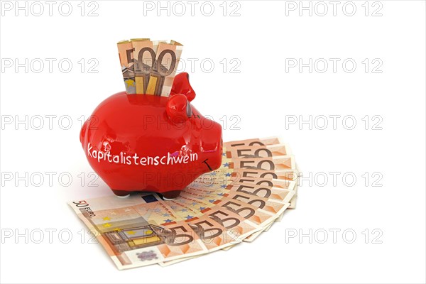 Piggy bank with the inscription Capitalist Pig and 50 euro banknotes