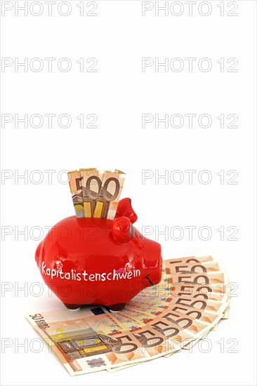 Piggy bank with the inscription Capitalist Pig and 50 euro banknotes