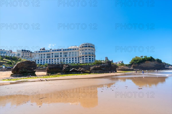 Green moss at low tide on the beach under the Basta Rock of Biarritz beach