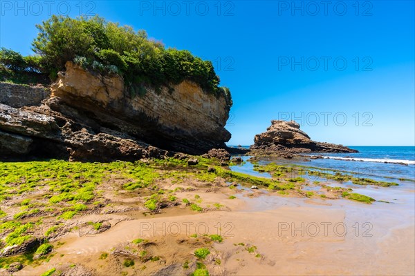 Low tide on the beach under the Basta Rock of Biarritz beach