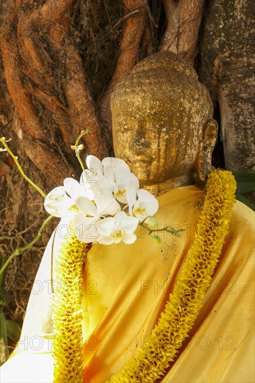 Buddha statue