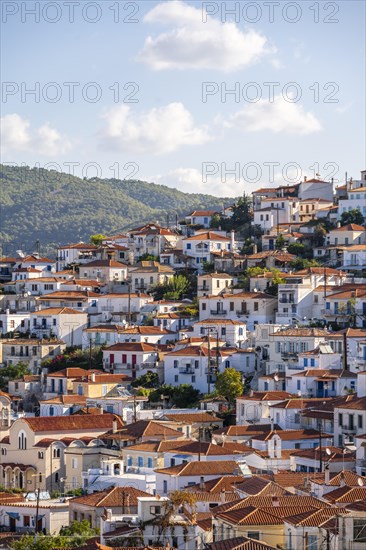 Sea of houses