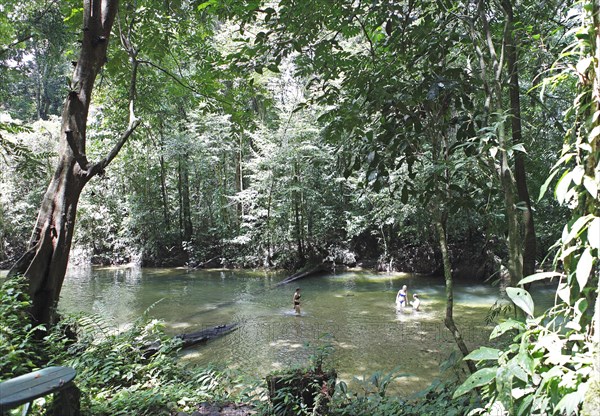 Melinau River in the rainforest