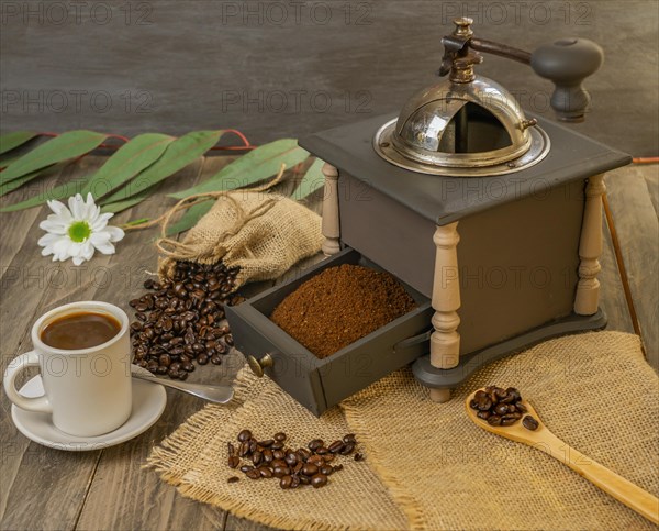 Coffee beans and ground coffee with coffee grinder and flowers