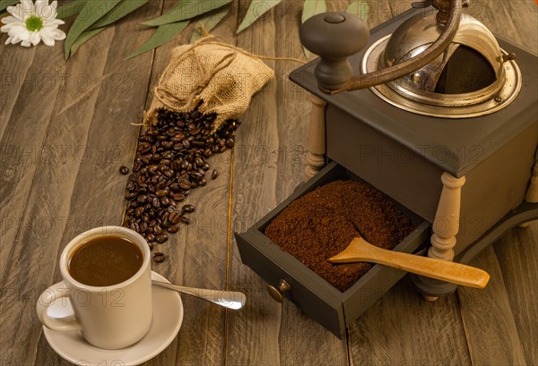 Coffee beans and ground coffee with coffee grinder and flowers