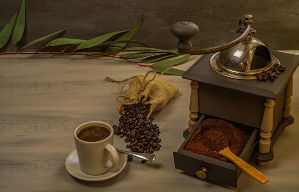 Coffee beans and ground coffee with coffee grinder and flowers