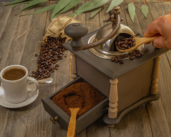 Coffee beans and ground coffee with coffee grinder and flowers