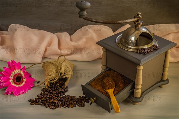 Coffee beans and ground coffee with coffee grinder and flowers