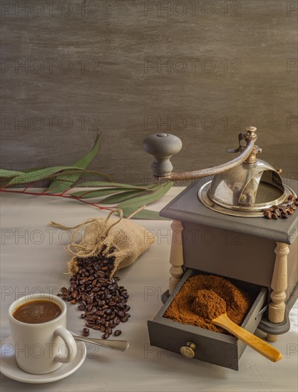 Coffee beans and ground coffee with coffee grinder and flowers