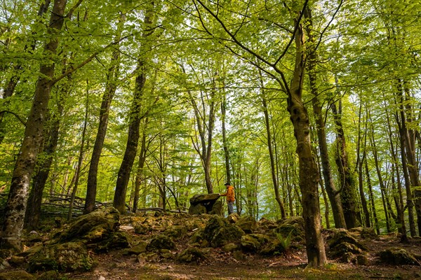 Aitzetako Txabala Dolmen under some trees in the Basque Country