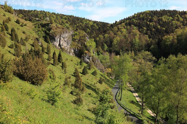 Grassland and juniper heath