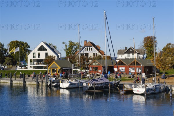 Boats in the harbour