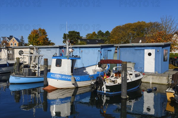 Fishing boats in the harbour