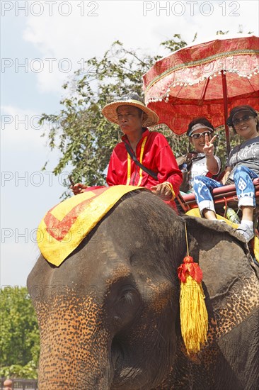 Thai woman riding an elephant