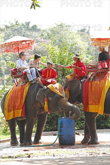 Thai men riding elephants