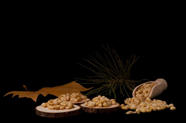 Pine nuts on slices of wood dried leaves and pine branch