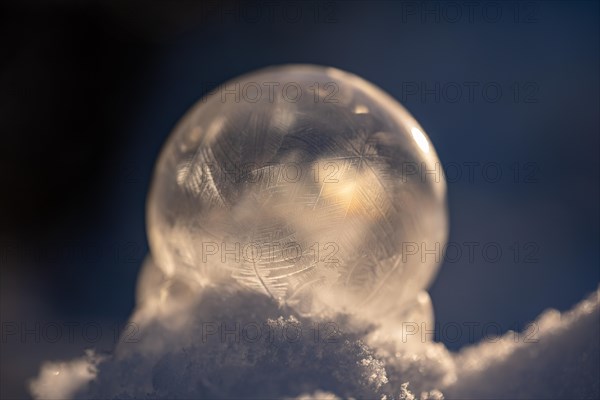 Frozen soap bubble