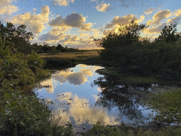 Evening clouds reflected in a small lake