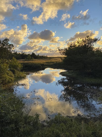 Evening clouds reflected in a small lake