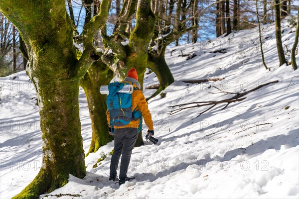 Photographer trekking with a backpack taking winter photos of a beech forest with snow