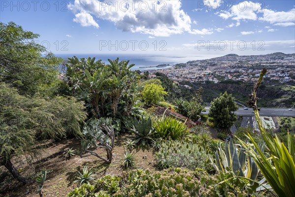 Funchal Botanical Garden