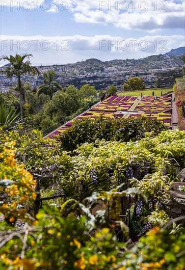 Funchal Botanical Garden