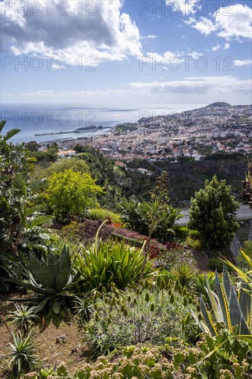 Funchal Botanical Garden