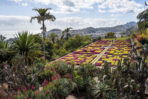 Funchal Botanical Garden