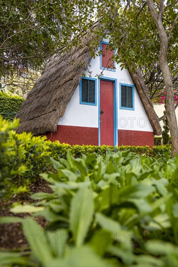 Traditional house