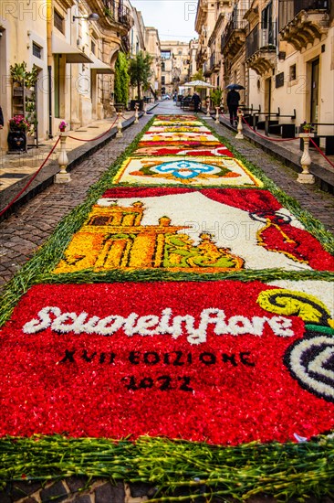 Flower Carpet