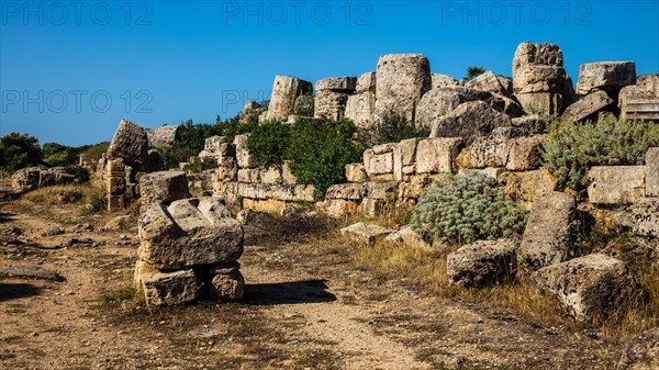 Acropolis Main Street