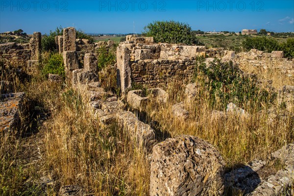 Acropolis with ruins of priests houses