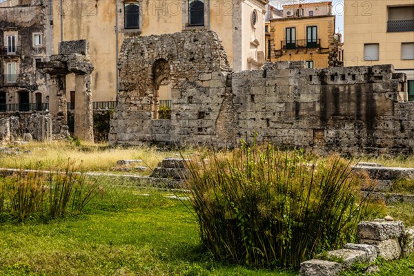 Ruins of the Temple of Apollo