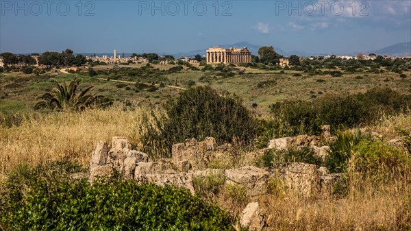 View of Temple E from Acropolis