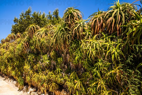 Fertile Phoenician island of Mozia